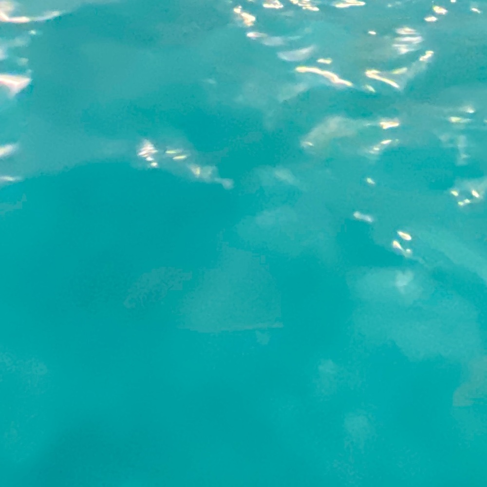 Meet your Posher, Claudia